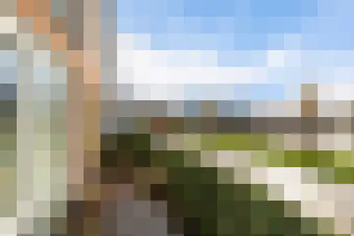 It Eilân 7 C Heeg thumbnail 7