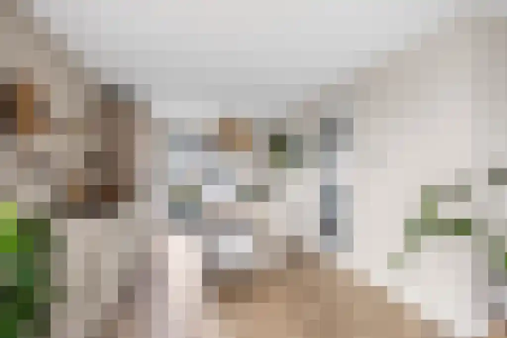 It Eilân 7 M Heeg thumbnail 10