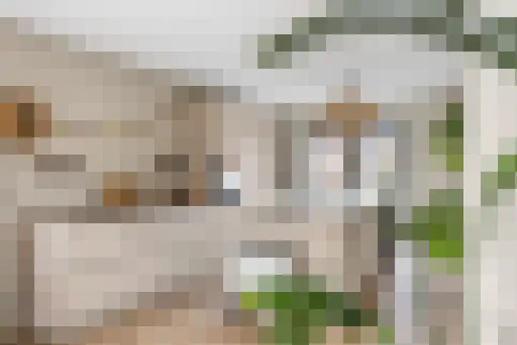 It Eilân 7 M Heeg thumbnail 11