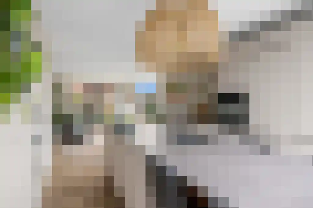 It Eilân 7 M Heeg thumbnail 13