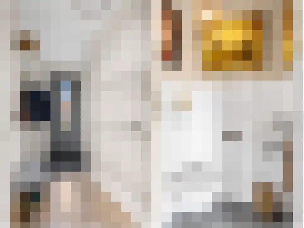 It Eilân 7 M Heeg thumbnail 14