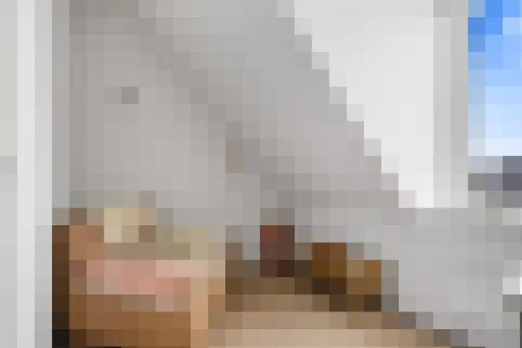 It Eilân 7 M Heeg thumbnail 31