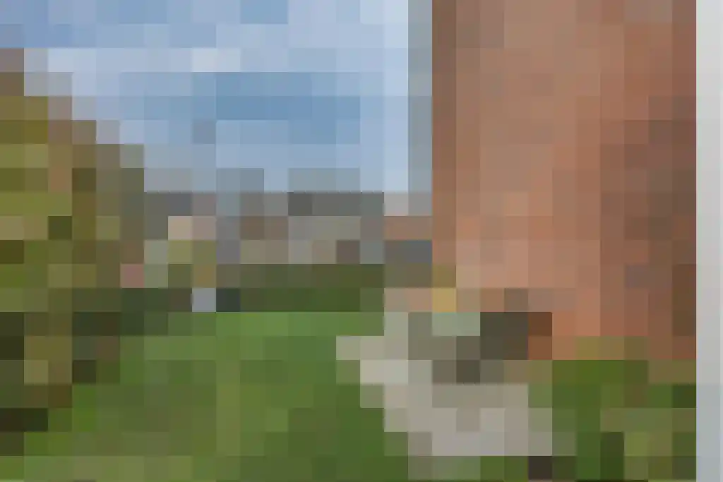 It Eilân 7 M Heeg thumbnail 39