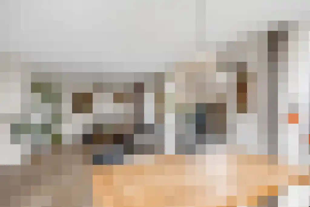 It Eilân 7 M Heeg thumbnail 9