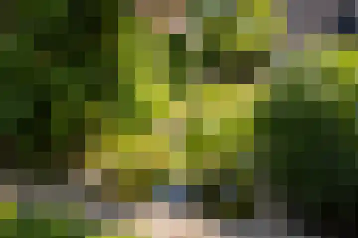 It Far 14 Sloten thumbnail 35