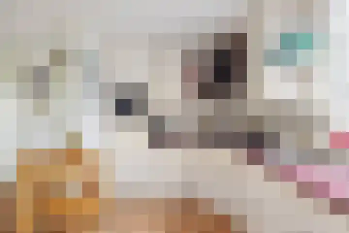 It Far 8 Sloten thumbnail 11