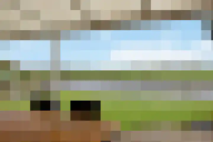 It Far 8 Sloten thumbnail 21