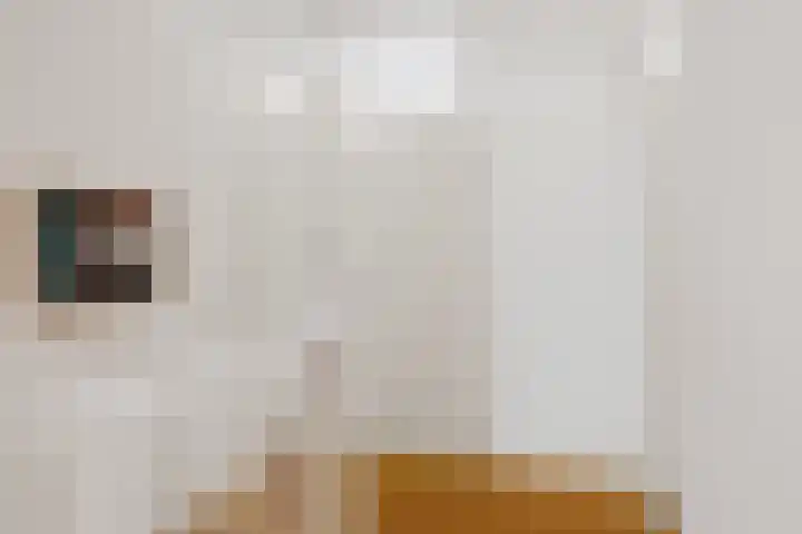 It Far 8 Sloten thumbnail 22