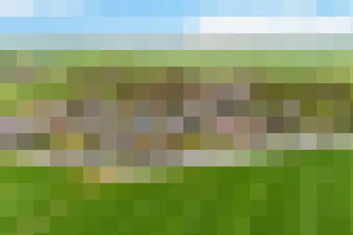 It Far 8 Sloten thumbnail 34