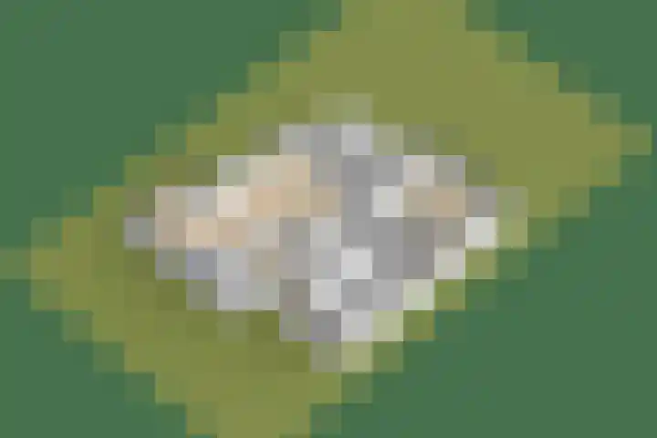 It Far 8 Sloten thumbnail 39
