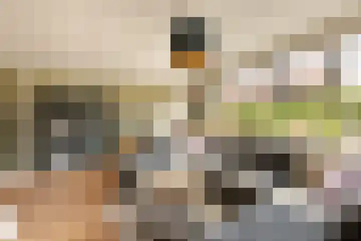 It Ferset 15 Makkum thumbnail 10
