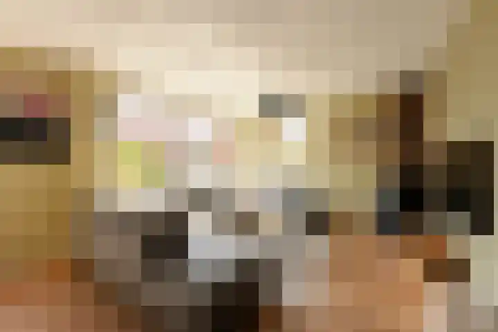 It Ferset 15 Makkum thumbnail 11