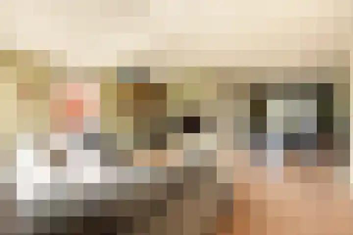 It Ferset 15 Makkum thumbnail 12