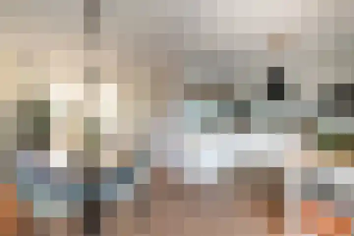 It Ferset 15 Makkum thumbnail 14
