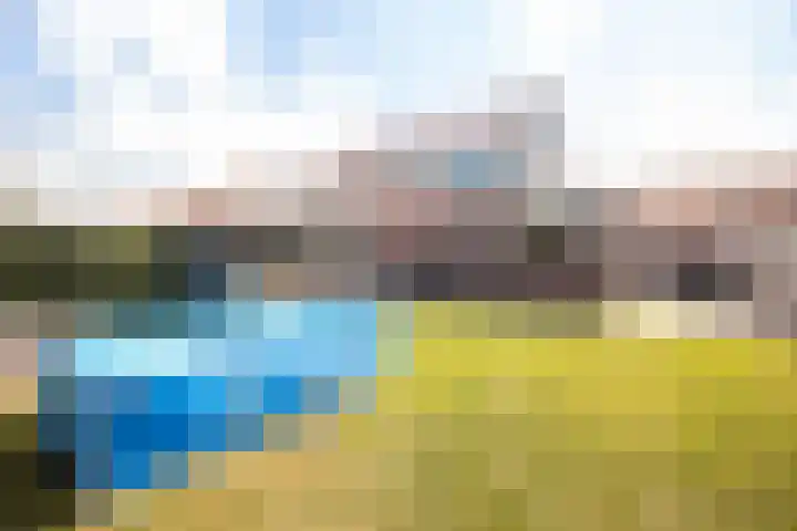 It Ferset 15 Makkum thumbnail 20