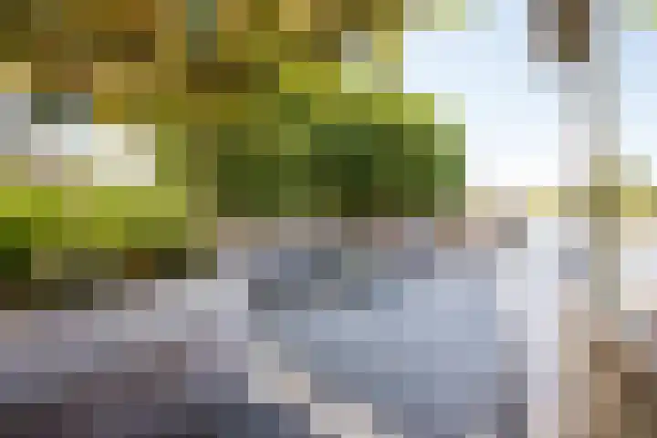 It Ferset 15 Makkum thumbnail 23