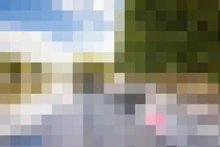 It Ferset 15 Makkum thumbnail 24