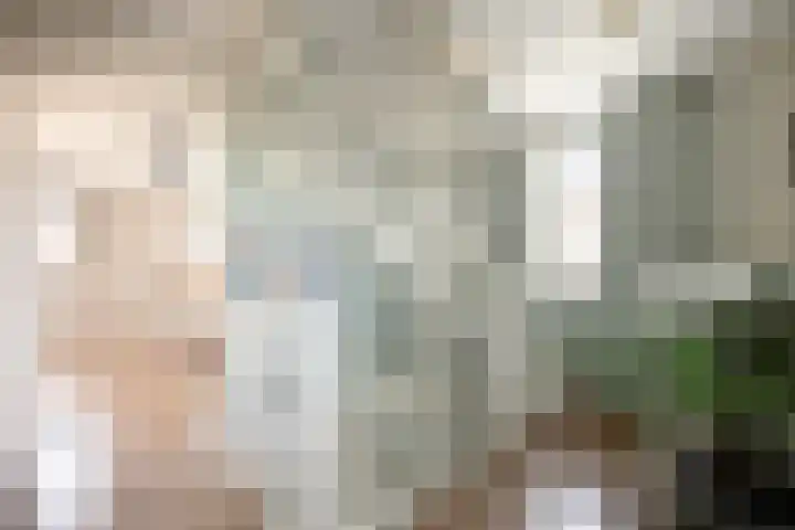 It Ferset 15 Makkum thumbnail 25