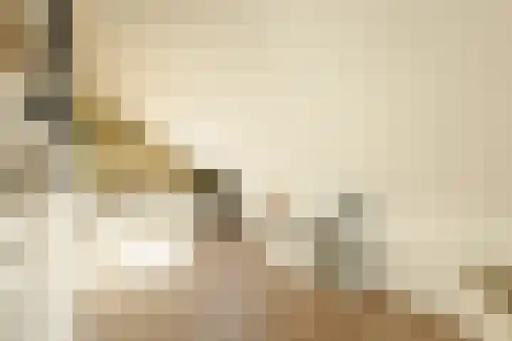 It Ferset 15 Makkum thumbnail 33