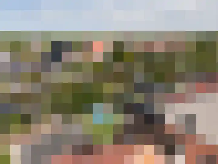 It Ferset 15 Makkum thumbnail 35