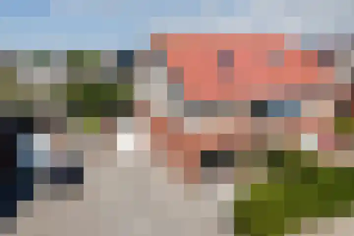 It Ferset 15 Makkum thumbnail 5