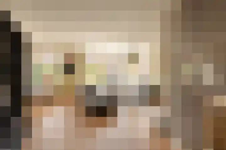 It Ferset 15 Makkum thumbnail 9