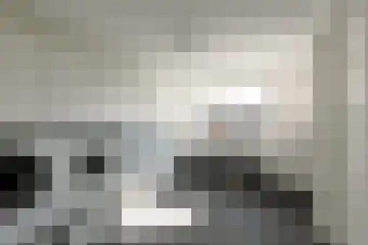 It Ferset 31 Makkum thumbnail 17