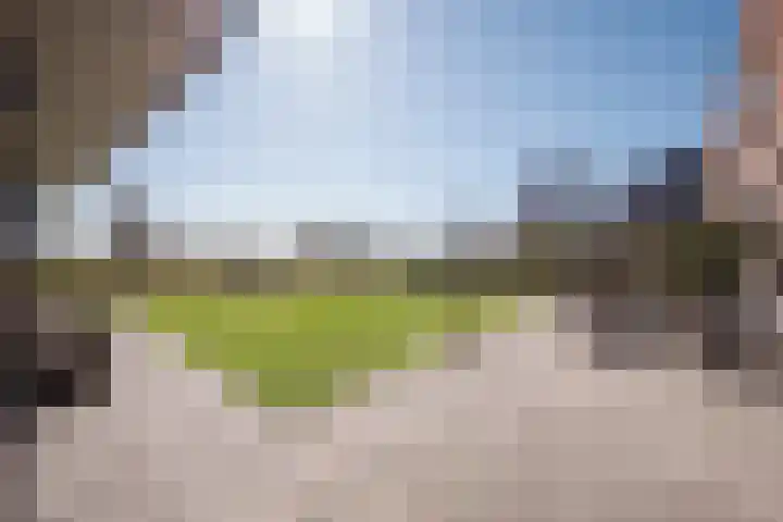 It Ferset 31 Makkum thumbnail 19