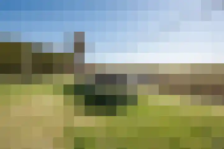It Ferset 31 Makkum thumbnail 20