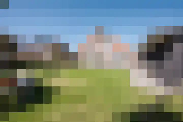 It Ferset 31 Makkum thumbnail 21