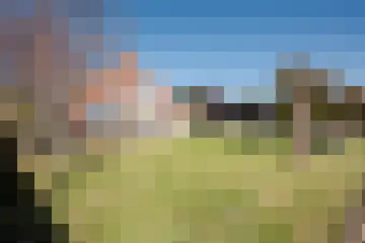 It Ferset 31 Makkum thumbnail 22