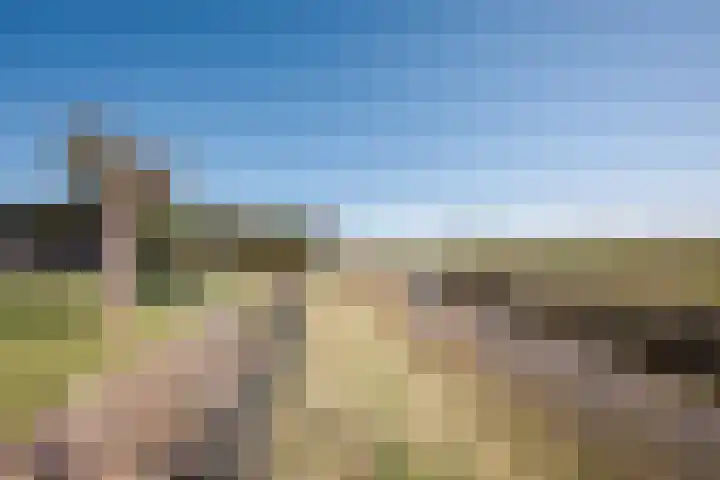 It Ferset 31 Makkum thumbnail 23