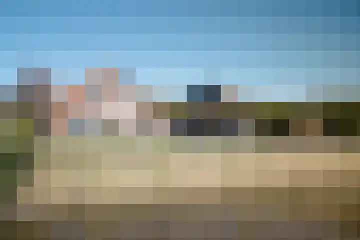 It Ferset 31 Makkum thumbnail 24