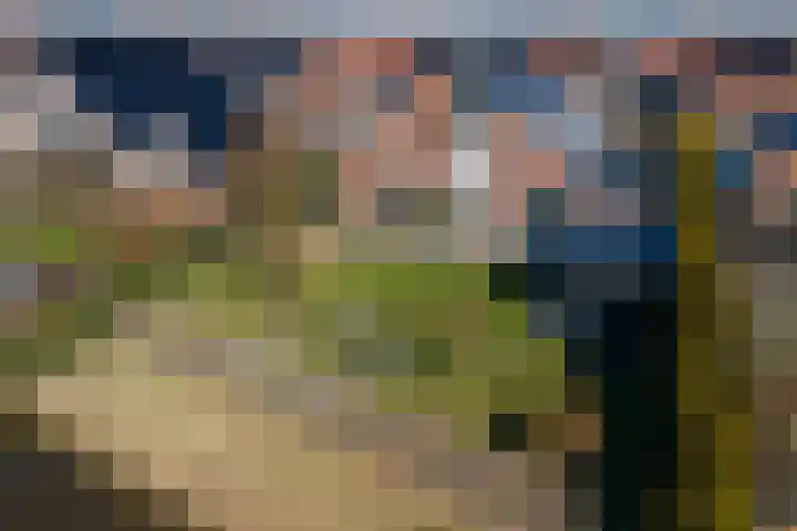 It Ferset 31 Makkum thumbnail 25