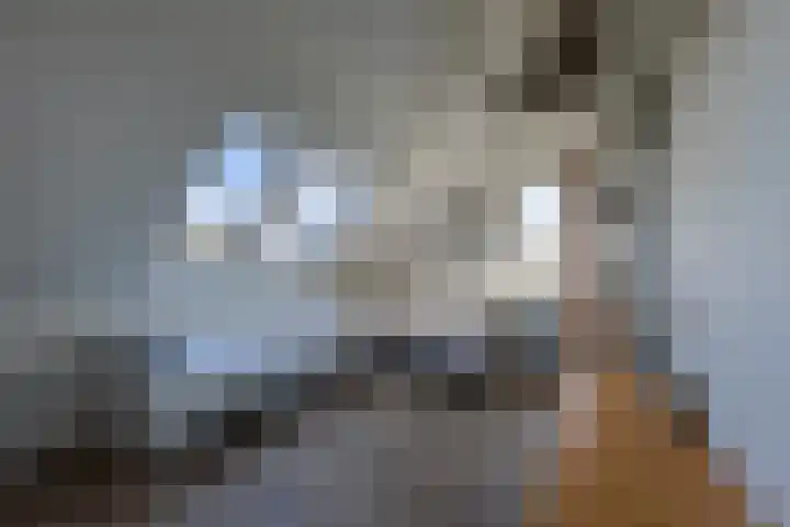 It Ferset 31 Makkum thumbnail 34
