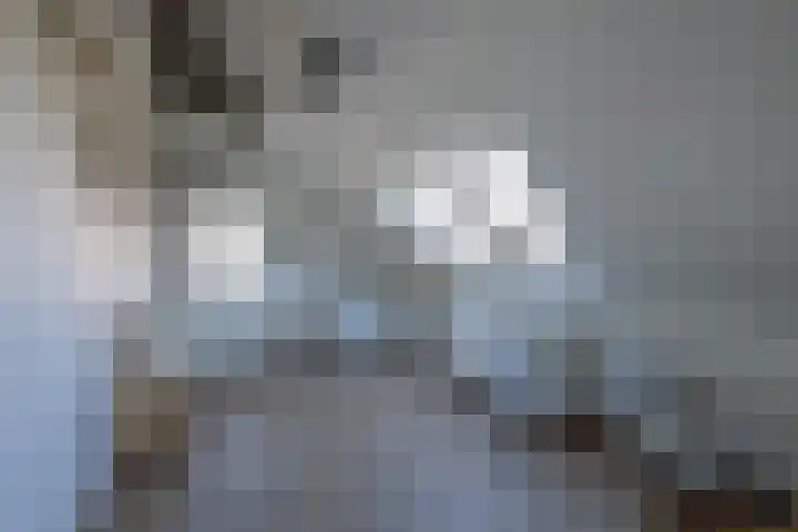 It Ferset 31 Makkum thumbnail 36