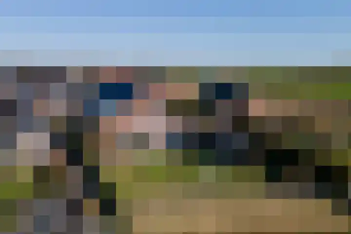 It Ferset 31 Makkum thumbnail 37