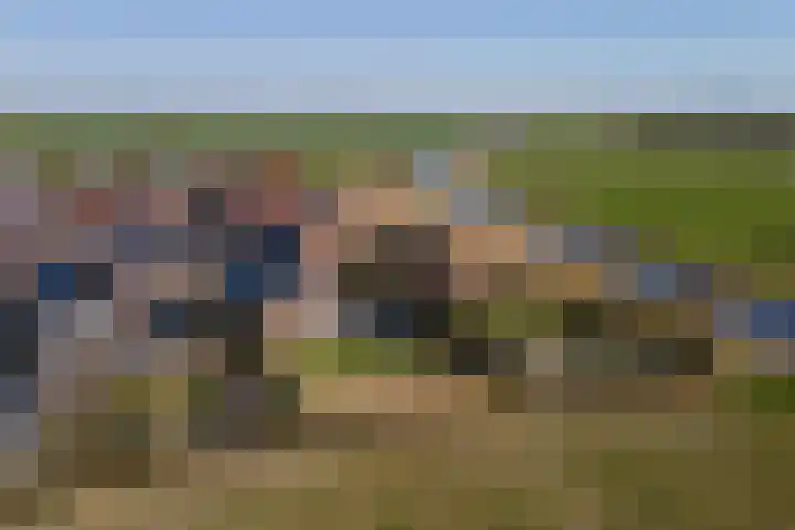 It Ferset 31 Makkum thumbnail 38