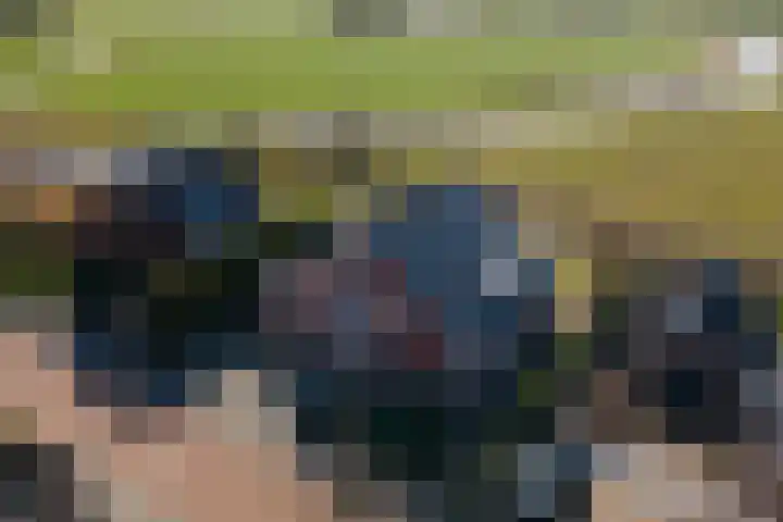 It Ferset 31 Makkum thumbnail 4