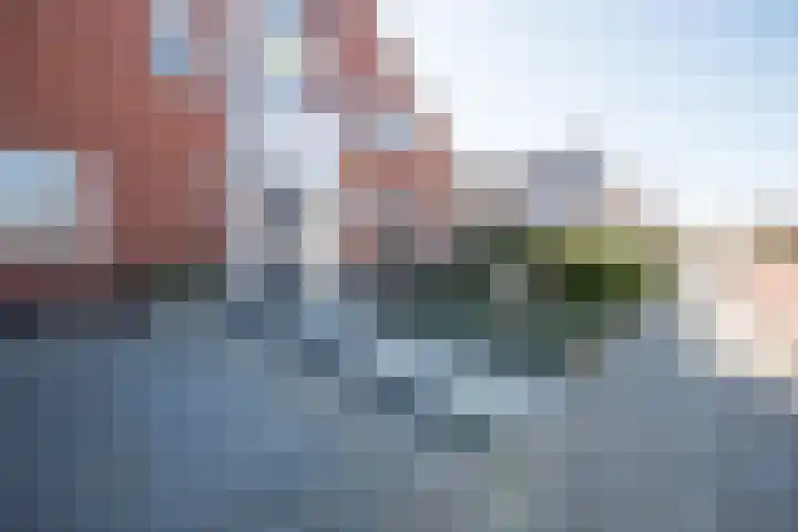 It Ferset 31 Makkum thumbnail 7