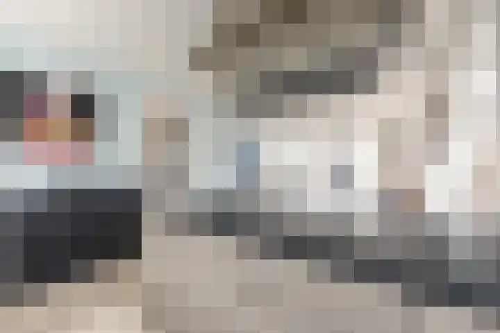 It Ferset 37 Makkum thumbnail 12