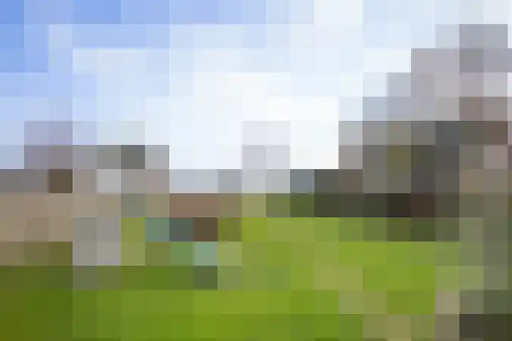 It Ferset 37 Makkum thumbnail 19