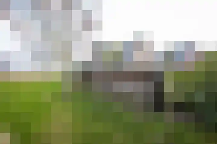It Ferset 37 Makkum thumbnail 20