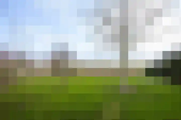 It Ferset 37 Makkum thumbnail 21