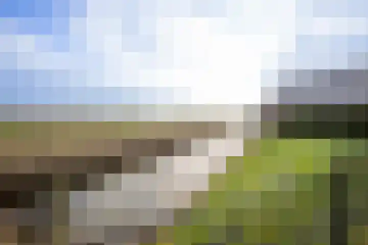 It Ferset 37 Makkum thumbnail 22
