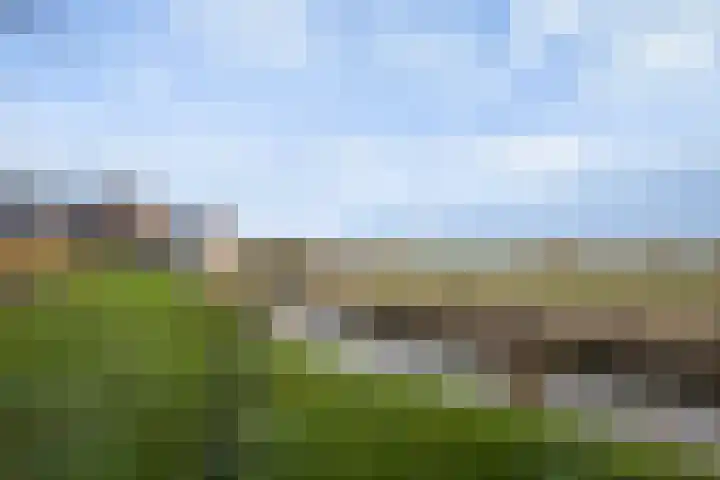 It Ferset 37 Makkum thumbnail 23