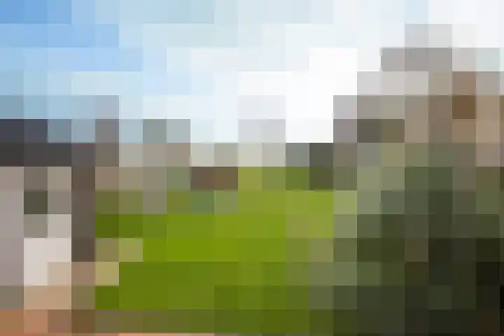 It Ferset 37 Makkum thumbnail 24