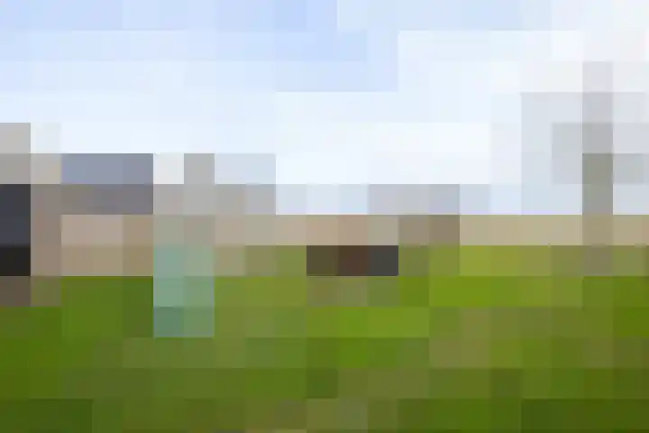 It Ferset 37 Makkum thumbnail 25