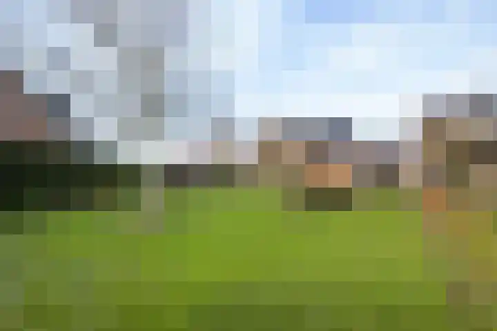 It Ferset 37 Makkum thumbnail 26
