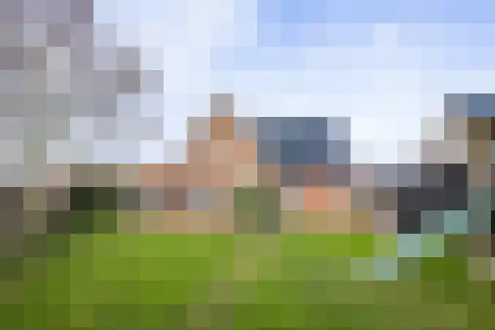 It Ferset 37 Makkum thumbnail 27